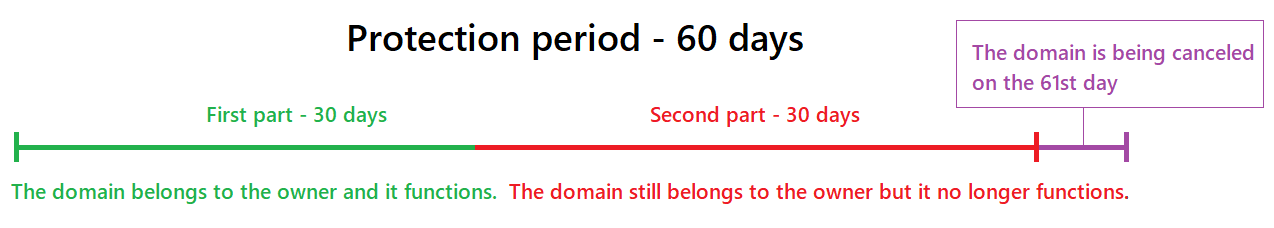 How does the protection period work for .cz domains?